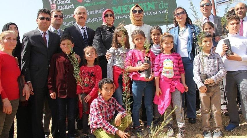 G&ouml;n&uuml;l El&ccedil;ileri Mersin&rsquo;de 1 Milyon Fidan Dikti