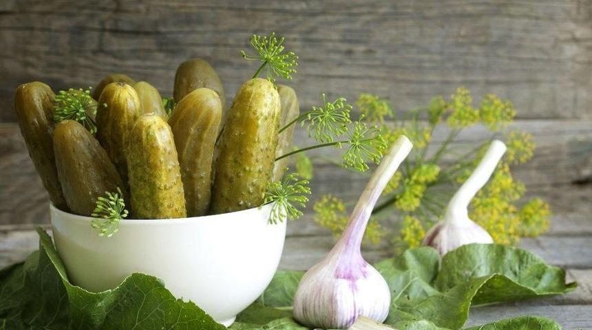 Salatalık Ve Kornişon İhracatının Y&uuml;zde 80&rsquo;i Ege&rsquo;den Yapılıyor