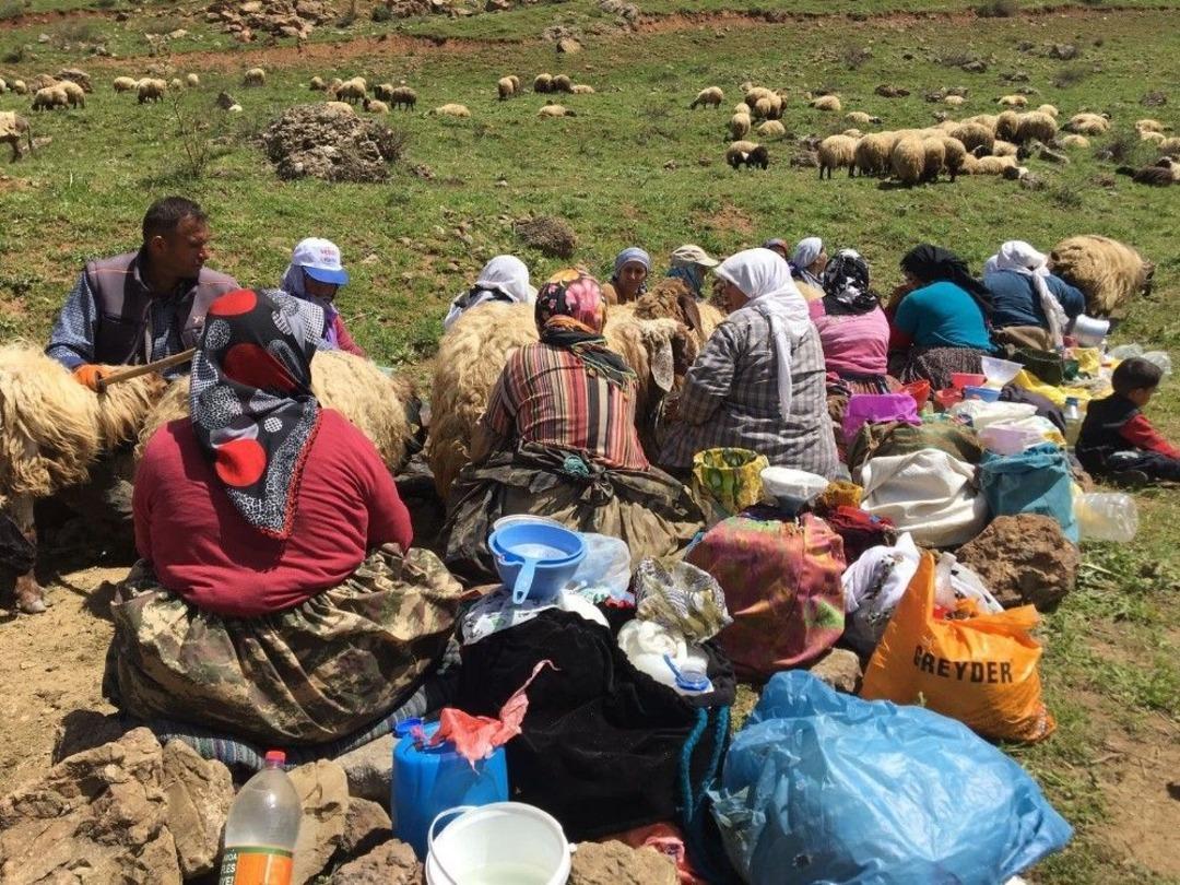 Dağlara Ter&ouml;r Yerine Huzur Geldi