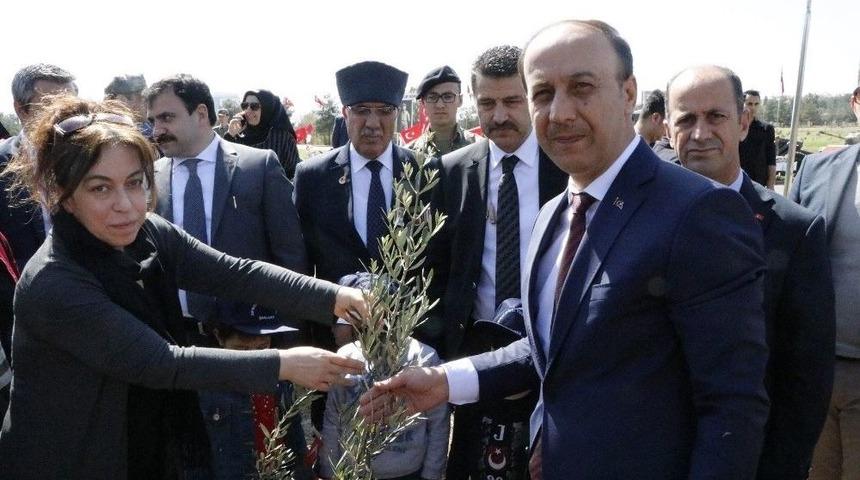 Afrin Şehitleri İ&ccedil;in Zeytin Fidanları Diktiler