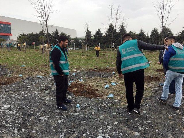 Esenyurt’ta Denetimli Serbestlik Hükümlüleri Ağaç Dikti