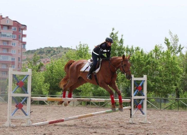 Jandarmanın Atları Özel Görevler İçin Hazırlanıyor G1