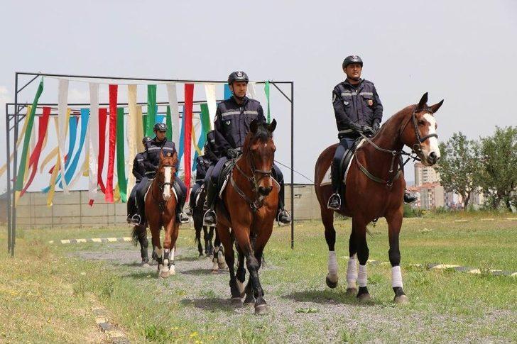 Jandarmanın Atları Özel Görevler İçin Hazırlanıyor G2