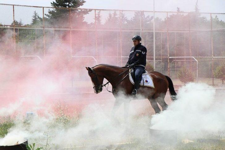 Jandarmanın Atları Özel Görevler İçin Hazırlanıyor G4