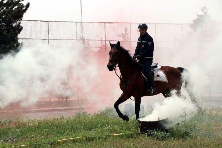 Jandarmanın Atları Özel Görevler İçin Hazırlanıyor G5