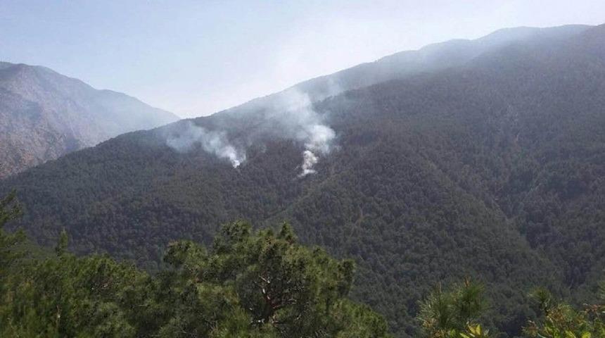 Hatay&rsquo;da Ter&ouml;ristlerin &Ccedil;ıkardığı Orman Yangını Kontrol Altına Alındı