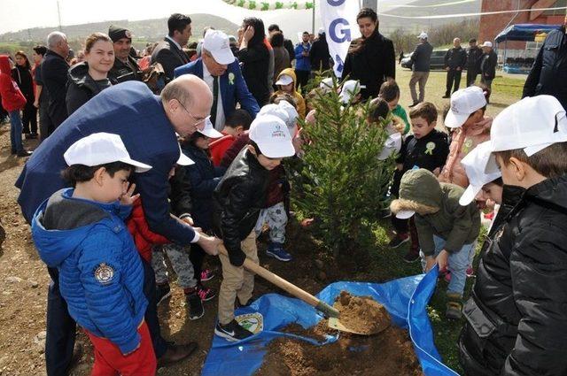 Omü 3 Bin 200 Fidanla Daha Yeşil Oldu