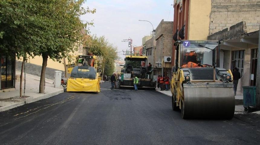 Şeyh Mes&rsquo;ud T&uuml;rbesi Yolu Revize Edildi