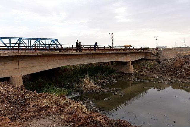 K&ouml;t&uuml; Koku Yayan Kanalda Temizlik Başladı 1