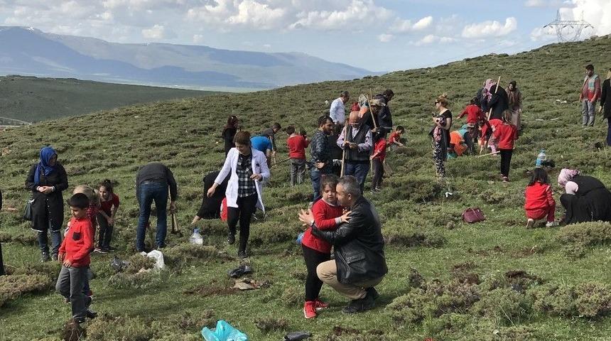 Şehit &Uuml;steğmen İsmail Aksu İlkokulu&rsquo;ndan Ağa&ccedil; Dikim Etkinliği