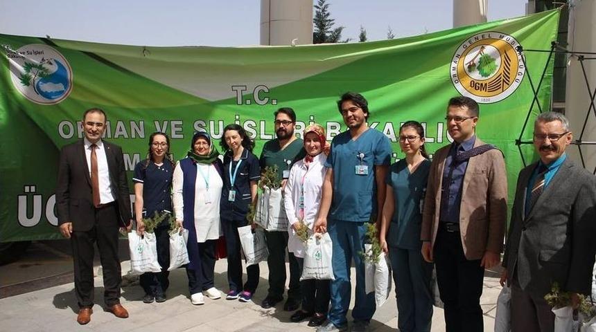 Karaman&rsquo;da Orman Haftası&rsquo;nda &Uuml;cretsiz Fidan Dağıtımı