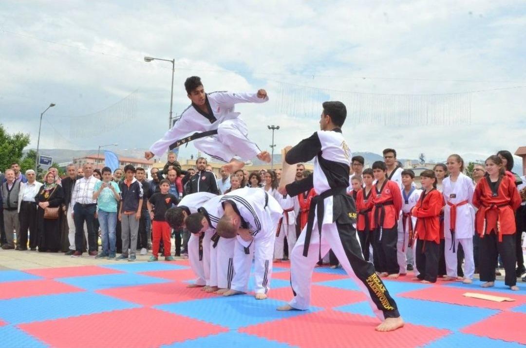 Erzincan Da Atlı Cirit Ve Mehter Takımı Eşliğinde 19 Mayıs