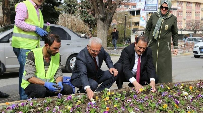 Binlerce Çiçek Toprakla Buluşuyor