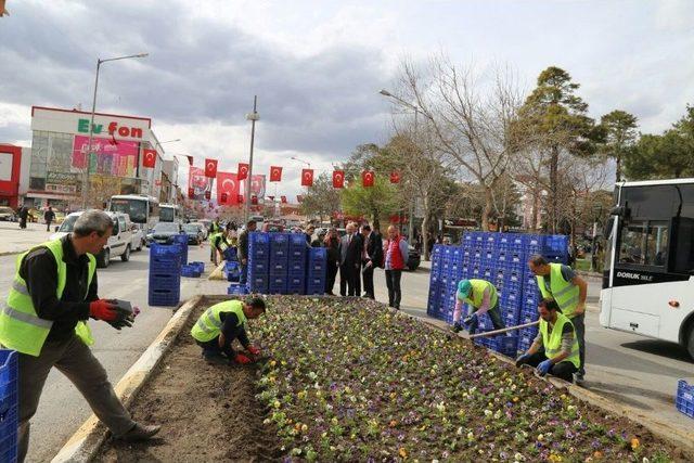 Binlerce Çiçek Toprakla Buluşuyor