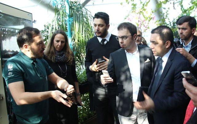 Kelebek Bah&ccedil;esi Ve Sobe Beğeni Topladı 1