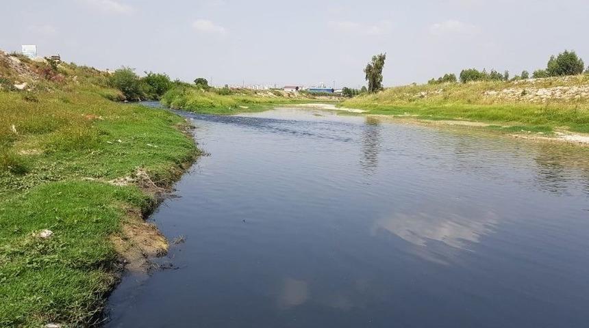 Siyah Akan Savrun &Ccedil;ayı Endişelendiriyor