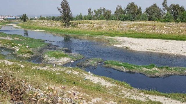 Siyah Akan Savrun Çayı Endişelendiriyor