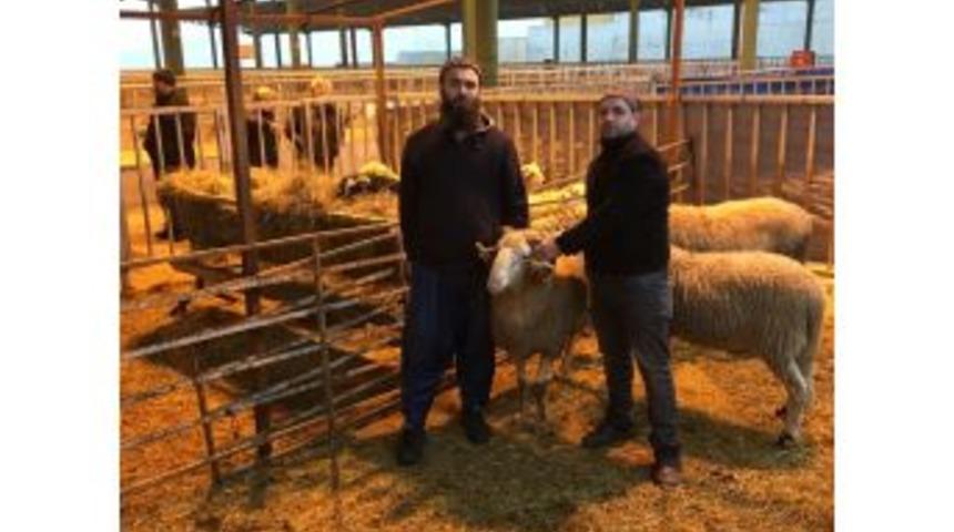 Adak&ccedil;ılar Haftanın 7 G&uuml;n&uuml; Modern Hayvan Pazarında