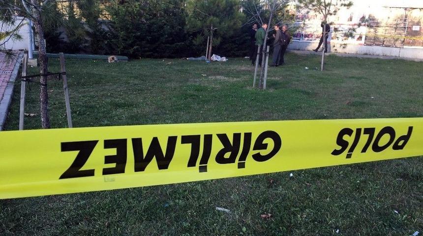 Vefalı K&ouml;pek, Parkta &Ouml;len Sahibinin Başından Ayrılmadı