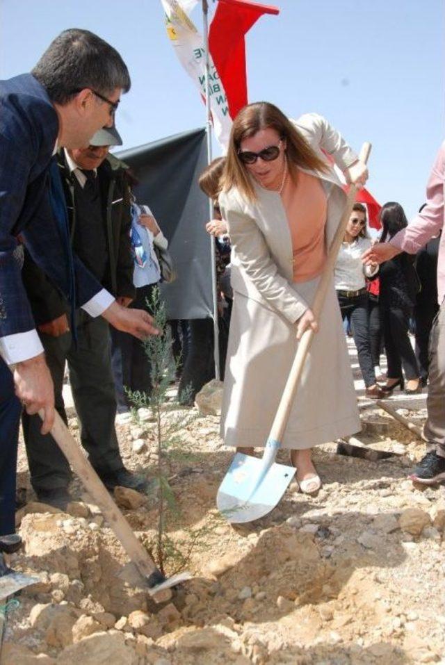 Gönül Elçileri Silifke’de Fidanları Toprakla Buluşturdu