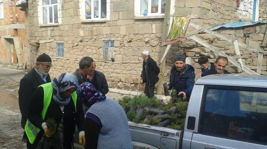 Seydişehir Belediyesi’nden 21 Bin 600 Adet Fidan Dağıtımı