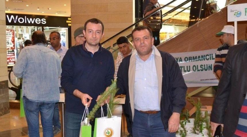 Şanlıurfalılara Orman Haftasında Bin Adet &Ccedil;am Fidanı Dağıtıldı