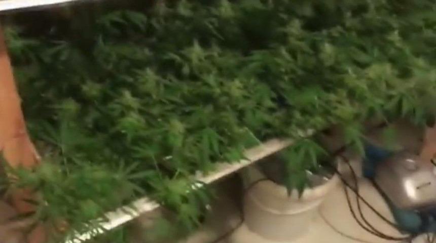 Sarıyer&rsquo;de Narkotimleri Evde Uyuşturucu Serası Buldu