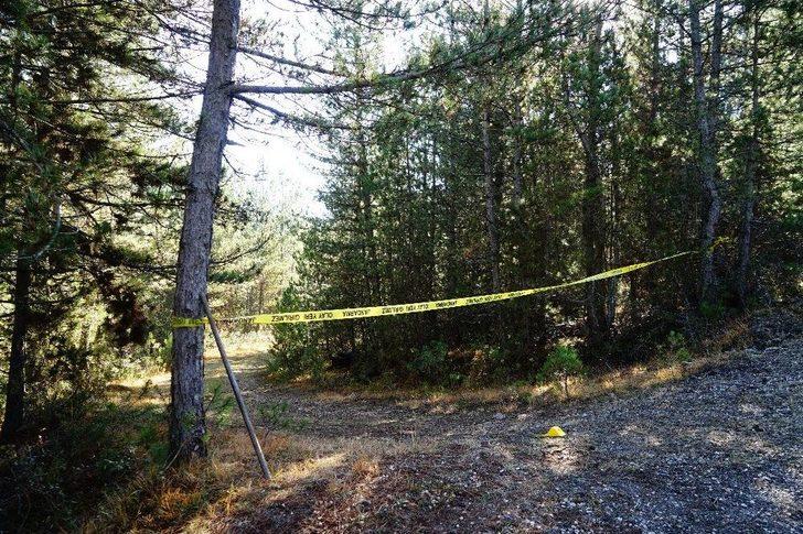 Ormanlık Alanda Terk Edilmiş Halde Traktör Bulundu G1