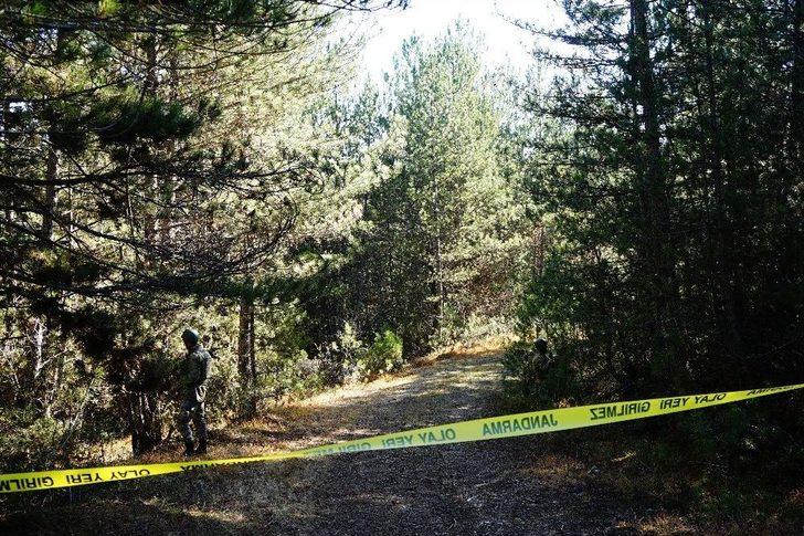 Ormanlık Alanda Terk Edilmiş Halde Traktör Bulundu G3