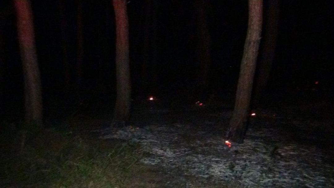 Antalya&rsquo;da Orman Yangını