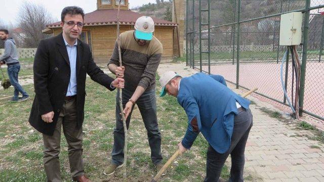 Pazarlar’da Kampüs Alanı Ağaçlandırıldı