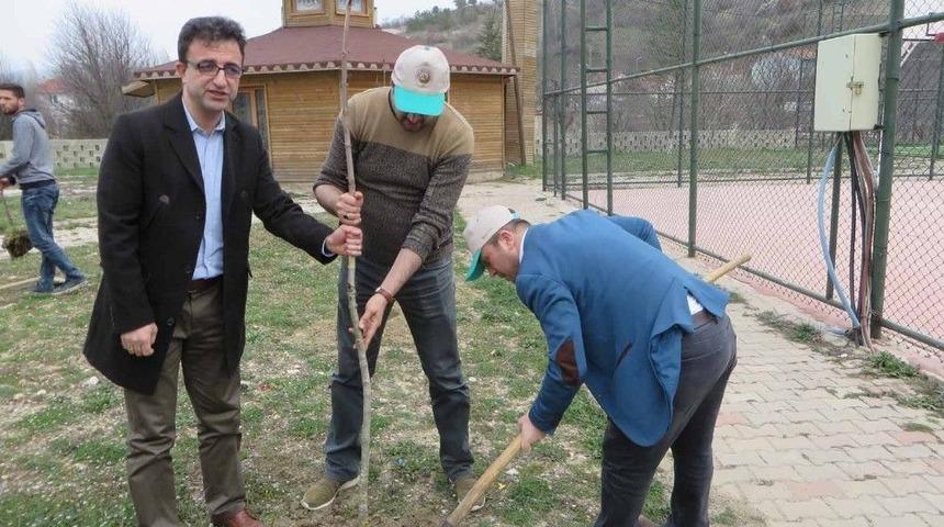 Pazarlar’da Kampüs Alanı Ağaçlandırıldı