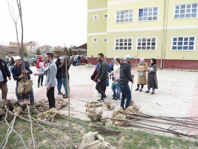 Pazarlar’da Kampüs Alanı Ağaçlandırıldı