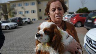 Bursa’da Pitbull Dehşeti Kameraya Böyle Yansıdı