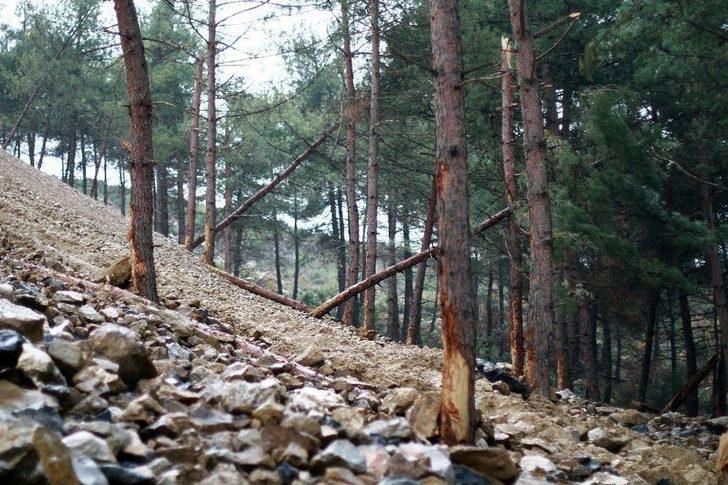 (özel Haber) Ormana Moloz Döken Firmaya 355 Bin Lira Ceza G2