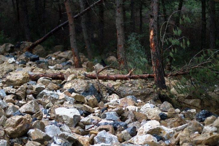 (özel Haber) Ormana Moloz Döken Firmaya 355 Bin Lira Ceza G3