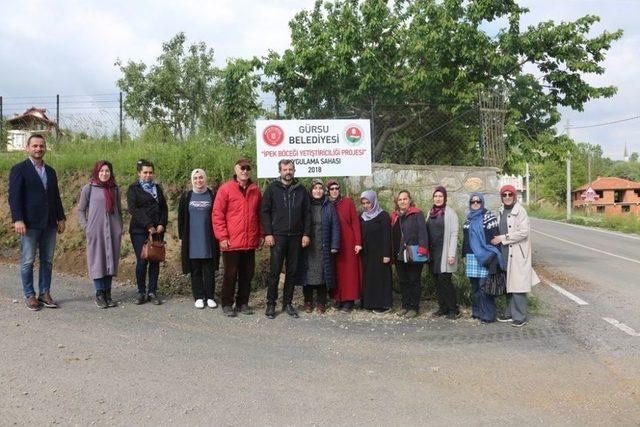 Gürsu’da İpek Böceği Yetiştirilecek