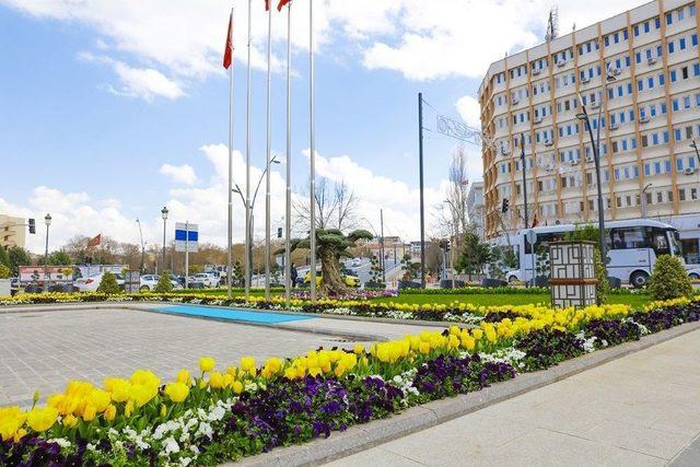 Gaziantep Büyükşehir Belediyesi 4 Milyon Mevsimlik Çiçek Dikti