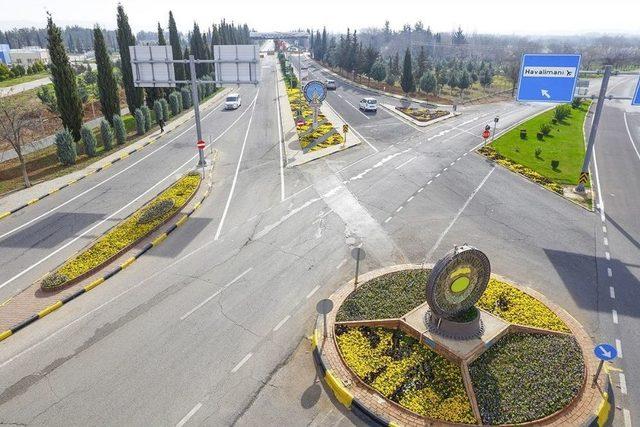 Gaziantep Büyükşehir Belediyesi 4 Milyon Mevsimlik Çiçek Dikti