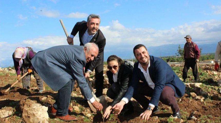 10 Yıl Da 97 Bin Fidan Dikti