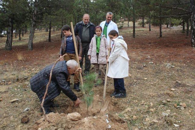 Öğrenciler Ağaç Dikme Eğitimi Verildi