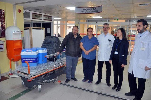 Yüksekten Düşen Gencin Organları 5 Kişiye Umut Oldu