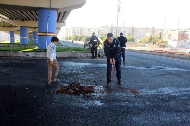 Şanlıurfa’da Trafik Kazası: 3 Yaralı