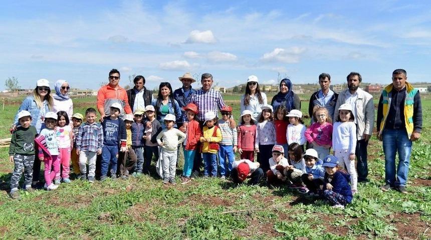 &Ouml;ğrenciler Kent Ormanında Fidan Dikti