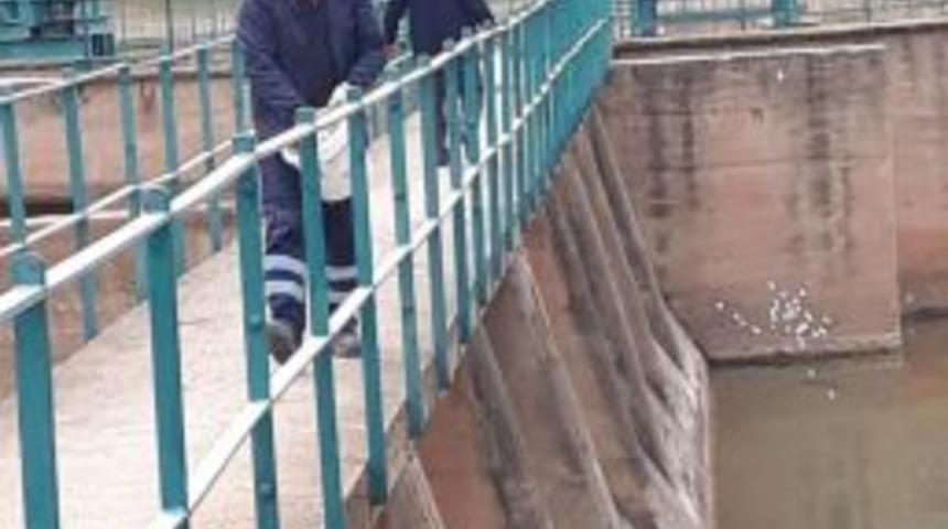 Aksaray&rsquo;da Haşere İle M&uuml;cadele Aralıksız S&uuml;r&uuml;yor