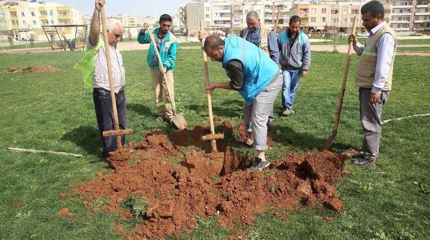Haliliye&rsquo;de Parklardaki &Ccedil;alışmalar S&uuml;r&uuml;yor