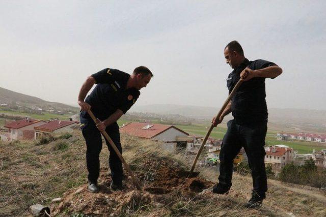 Afrin Zaferi İçin 58 Adet Fidan Diktiler