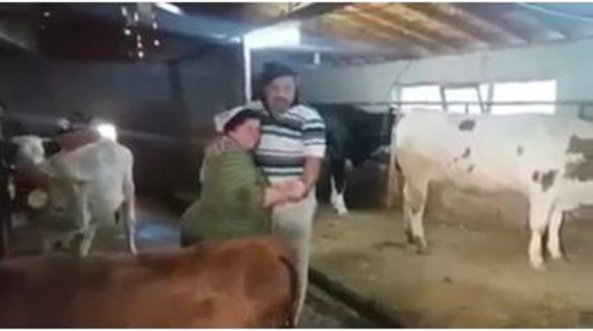 Ahırda Şarkı S&ouml;yleyip, Dans Eden &Ccedil;ift Sosyal Medyada Fenomen Oldu