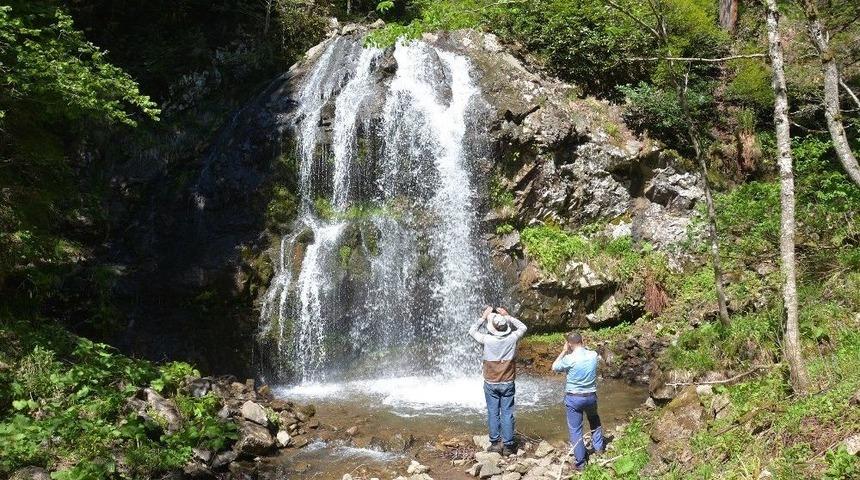 Elma Kaya Şelalesi Görenleri Cezbediyor
