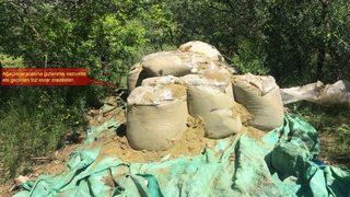 Diyarbakır Kırsalında Düzenlenen Operasyonda 1 Ton Esrar Ele Geçirildi